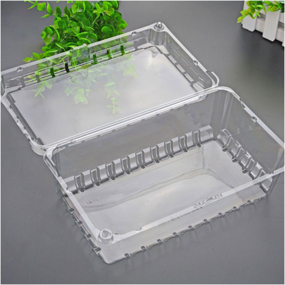 Introduction of transparent plastic sheet for packaging